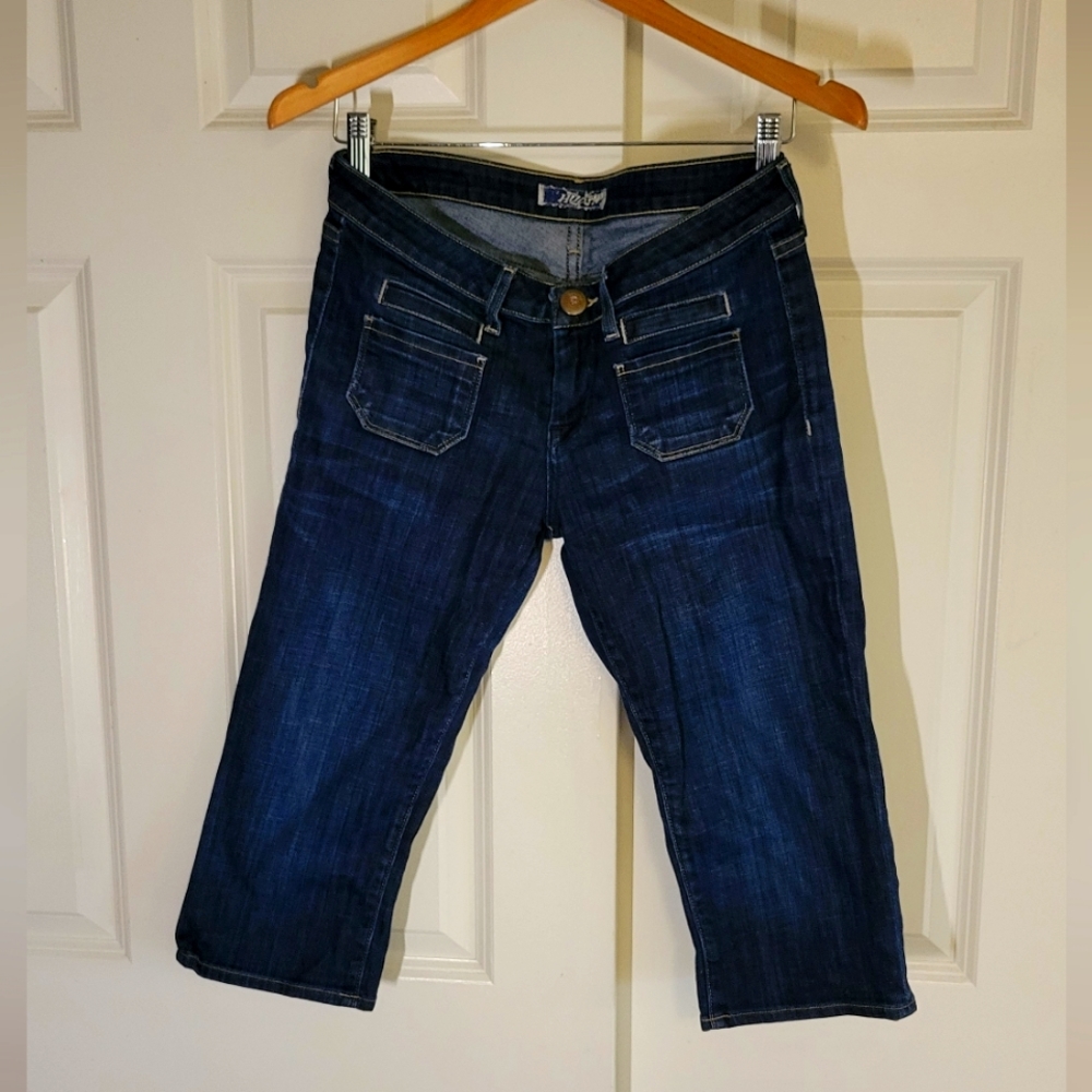 Hudson Cropped Jeans (Size 29)